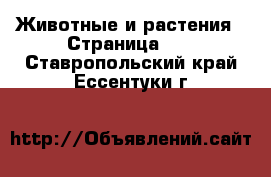  Животные и растения - Страница 10 . Ставропольский край,Ессентуки г.